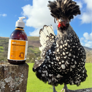 Mitey Stuff! Red Mite Liquid Supplement for Chickens - Image 5