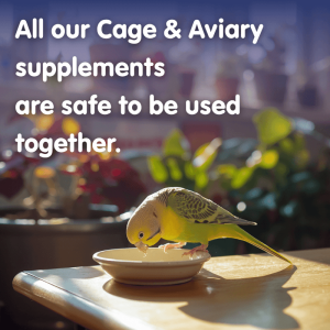NEW CALCIFORM HiD3 Liquid Calcium for Cage & Aviary Birds - Image 3