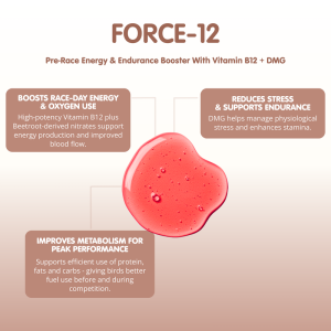 FORCE 12 + DMG Pre Race Booster for Racing Pigeons - Image 3