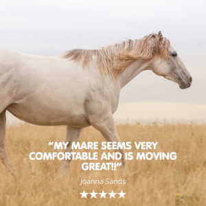 Suppleaze Progen | Horse Joint Supplement with Hydrolysed Collagen - Image 3