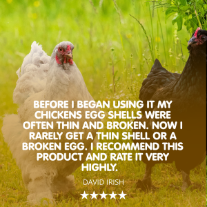 SHELL STUFF! Liquid Calcium Supplement for Chickens - Image 3
