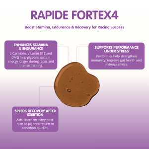 RAPIDE ForteX4 Stamina, Endurance, Recovery and Immunity Supplement for Racing Pigeons - Image 5