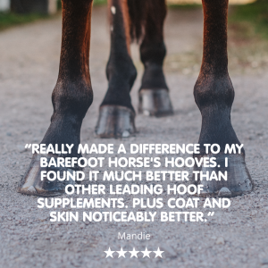 Biodura | Biotin Hoof Supplement for Horses - Image 3