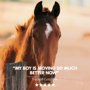 Glucosamine Hydrochloride | Equine Joint Supplement - Image 3