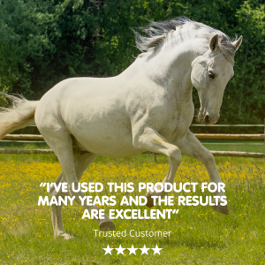 MSM | Pure Joint Care Supplement for Horses - Image 3