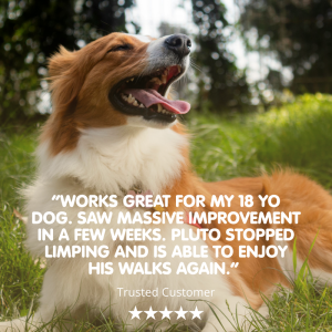 Mobileaze | Natural Mobility Aid Supplement for Dogs - Image 3