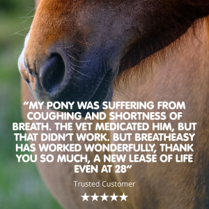 Breatheasy | Natural Respiratory Aid for Horses - Image 3