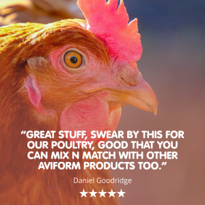MULTIVIT STUFF! All in One Chicken Multivitamin and Conditioner - Image 4
