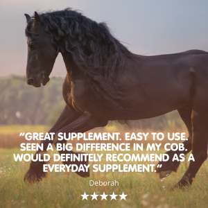 Suppleaze Ultraflex | Equine Joint Supplement - Image 3