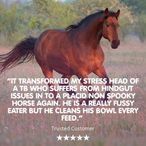 Equable | Powder Horse Calmer - Image 3