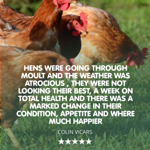 Total Health Stuff! All-in-One Chicken Tonic - Image 5