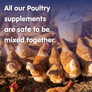 SHELL STUFF! Liquid Calcium Supplement for Chickens - Image 4