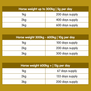 MSM | Pure Joint Care Supplement for Horses - Image 4