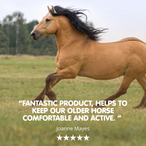 Suppleaze Gold | Horse Joint Supplement - Image 3