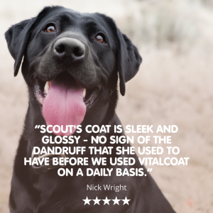 Vitalcoat | Dog Coat and Skin Conditioner - Image 3