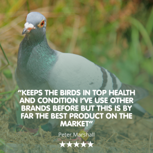 AVIFORM ULTIMATE MAX Complete Supplement for Racing Pigeons - Image 6
