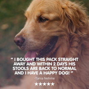 Tummytonic® | New Formula Penta-biotic® Digestive Supplement for Dogs - Image 4