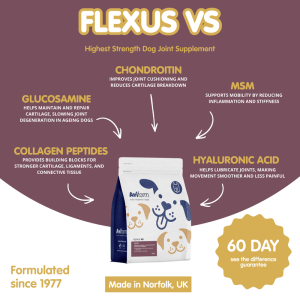 Flexus VS | Ultimate Dog Hip and Joint Supplement - Image 3