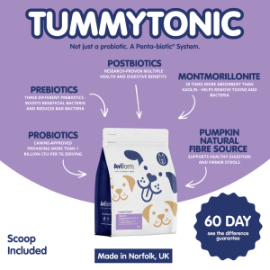 Tummytonic® | New Formula Penta-biotic® Digestive Supplement for Dogs - Image 3