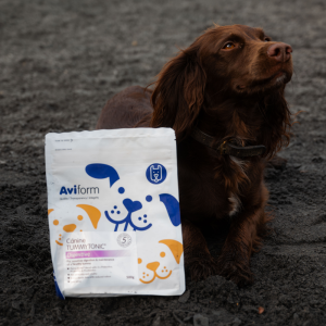 Tummytonic® | New Formula Penta-biotic® Digestive Supplement for Dogs - Image 7