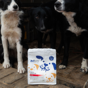 Flexus VS | Ultimate Dog Hip and Joint Supplement - Image 7