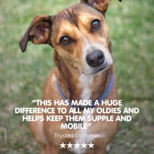 Flexus VS | Ultimate Dog Hip and Joint Supplement - Image 8