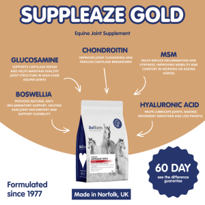 Suppleaze Gold | Horse Joint Supplement - Image 9