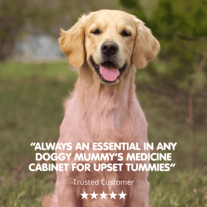 MontyTummy | Digestive Suspension Supplement for Dogs - Image 3