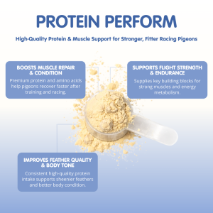 PROTEIN PERFORM Protein for Racing Pigeons - Image 3