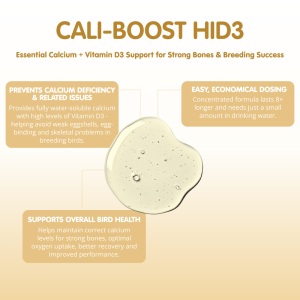 NEW CALCI-BOOST HiD3 New Formula Liquid Calcium for Racing Pigeons - Image 4