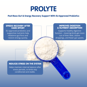 PROLYTE Probiotic Post Race Restorative Supplement for Racing Pigeons - Image 5