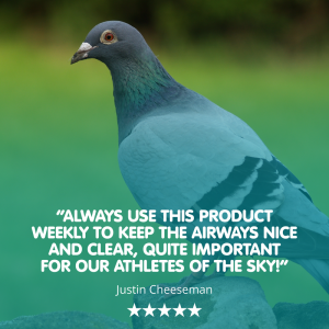 MYCOFORM-T Racing Pigeon Respiratory - Image 4