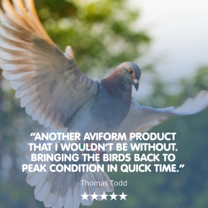 PROLYTE Probiotic Post Race Restorative Supplement for Racing Pigeons - Image 6