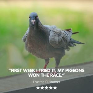ROCKETFUEL MCT Energy Oil for Racing Pigeons - Image 4